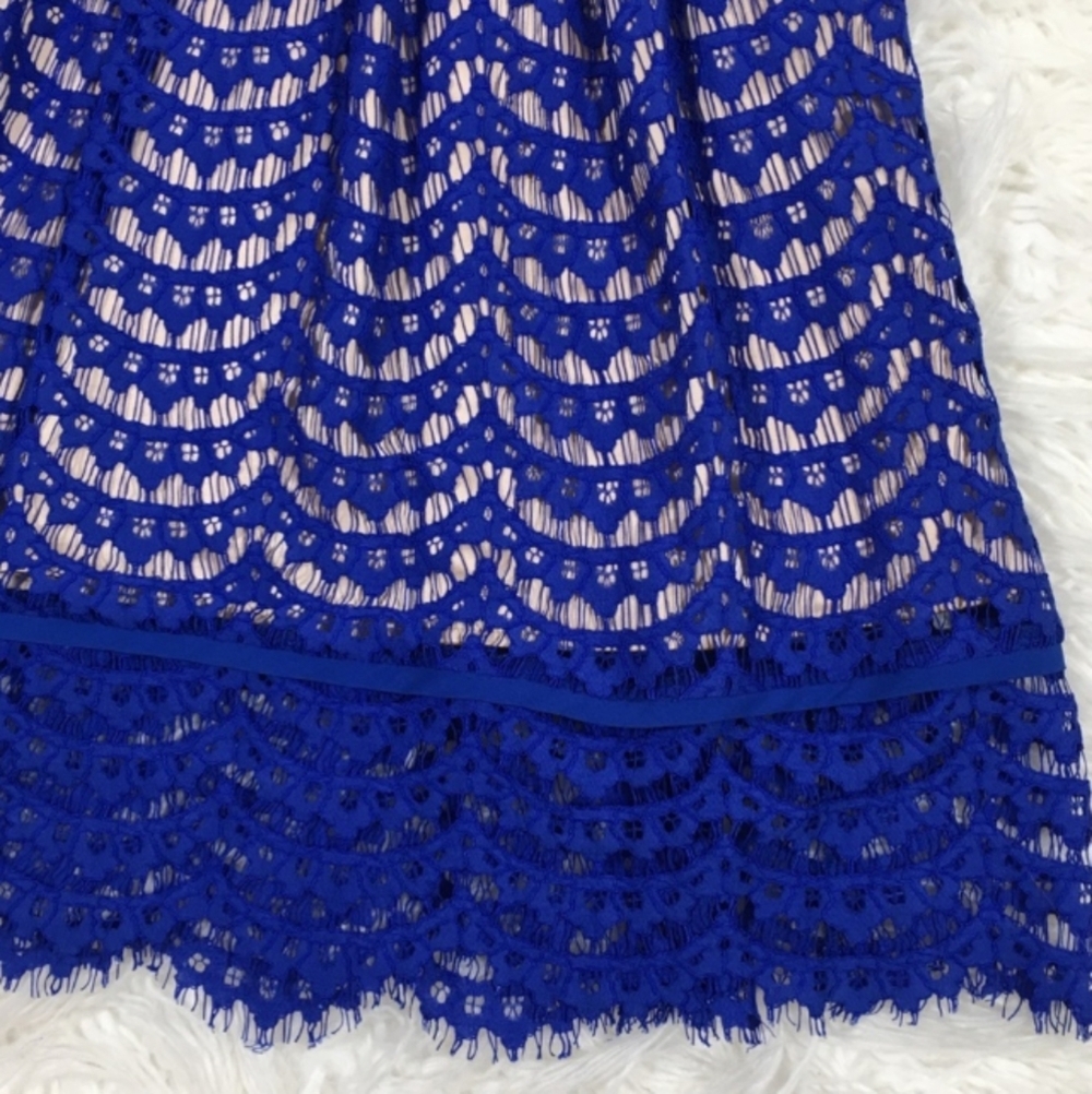 Eliza J Blue Lace Cobolt Blue Fit Flare Dress 14 - Picture 5 of 14